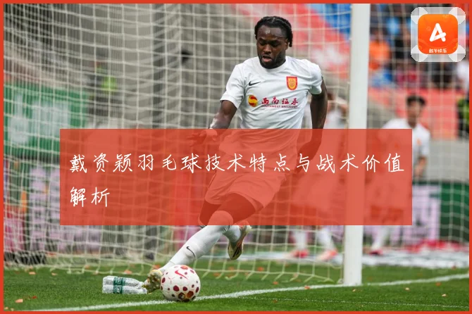 戴资颖羽毛球技术特点与战术价值解析